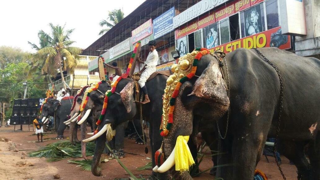 Anandan Tourist Home Varkala Bagian luar foto